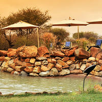 Local Holidays Flight Centre South Africa   LB Madikwe River Lodge 640x360 8c71c26711169e81863b88d0c4ba890d 