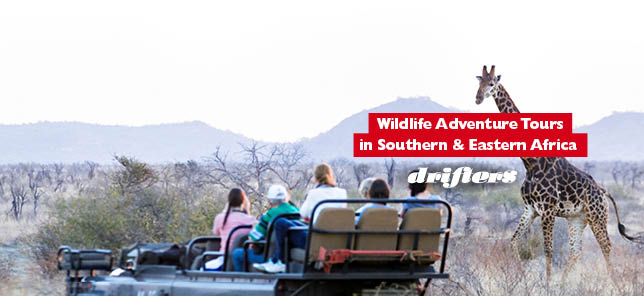 drifters adventure tours reviews